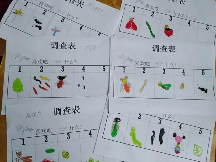 螳螂资料卡小学作业图片